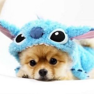 Meet your Posher, Stacey